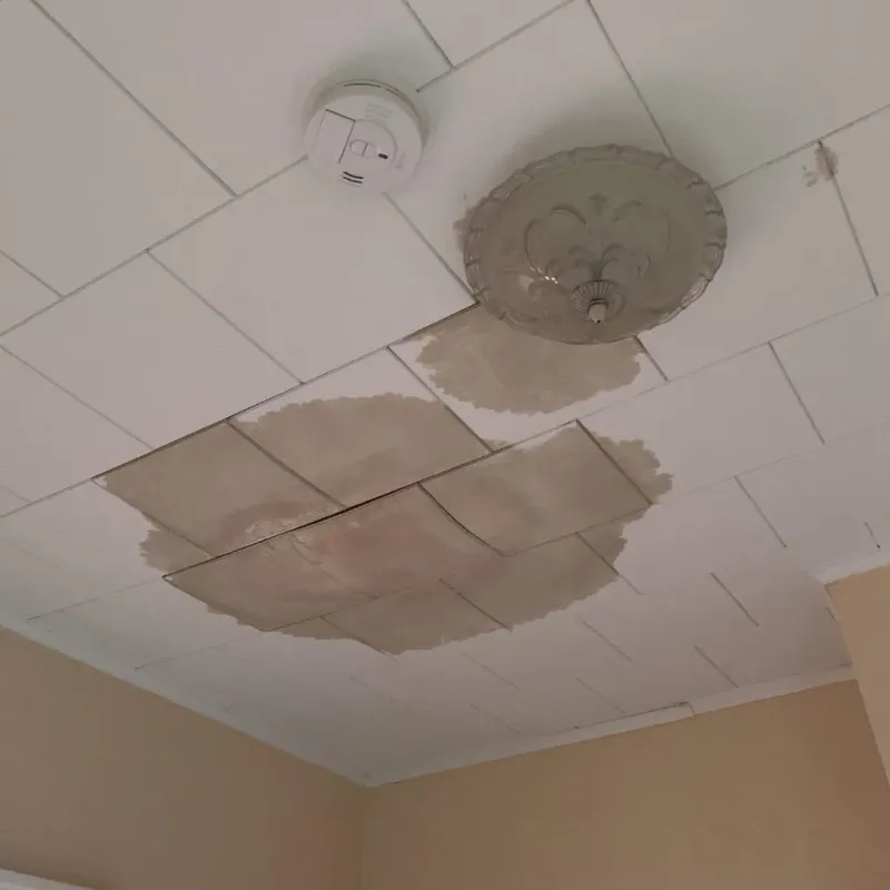 Ceiling Water Damage Repair in Mount Orab, OH