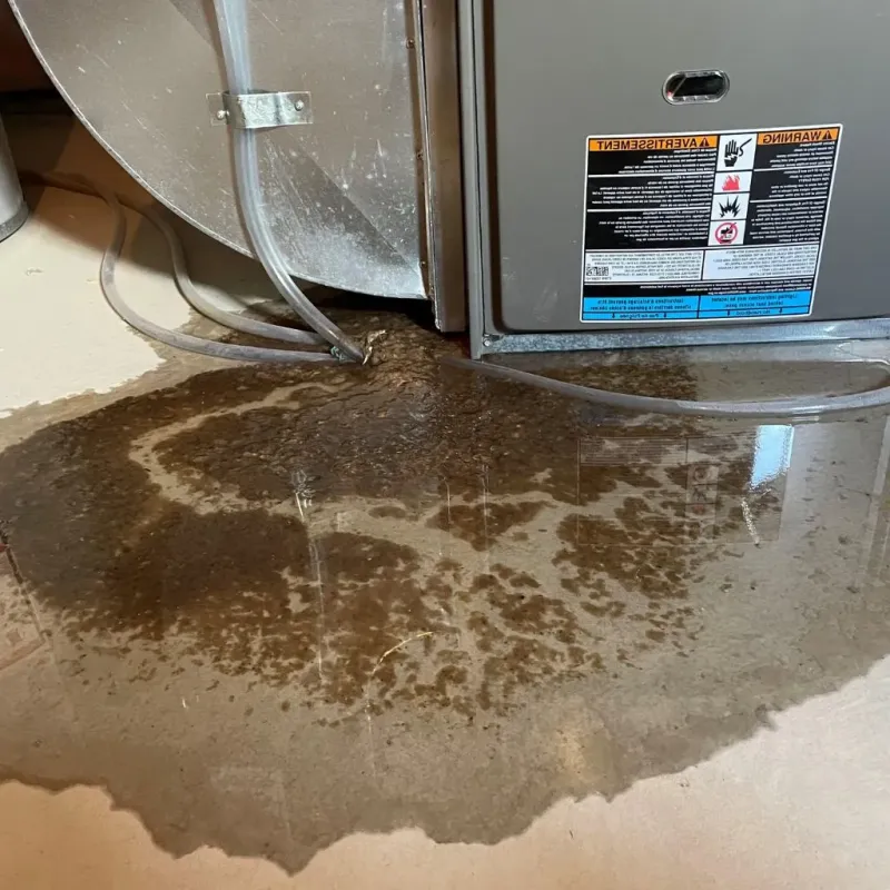 Pipe Burst and Leak Restoration in Mount Orab, OH