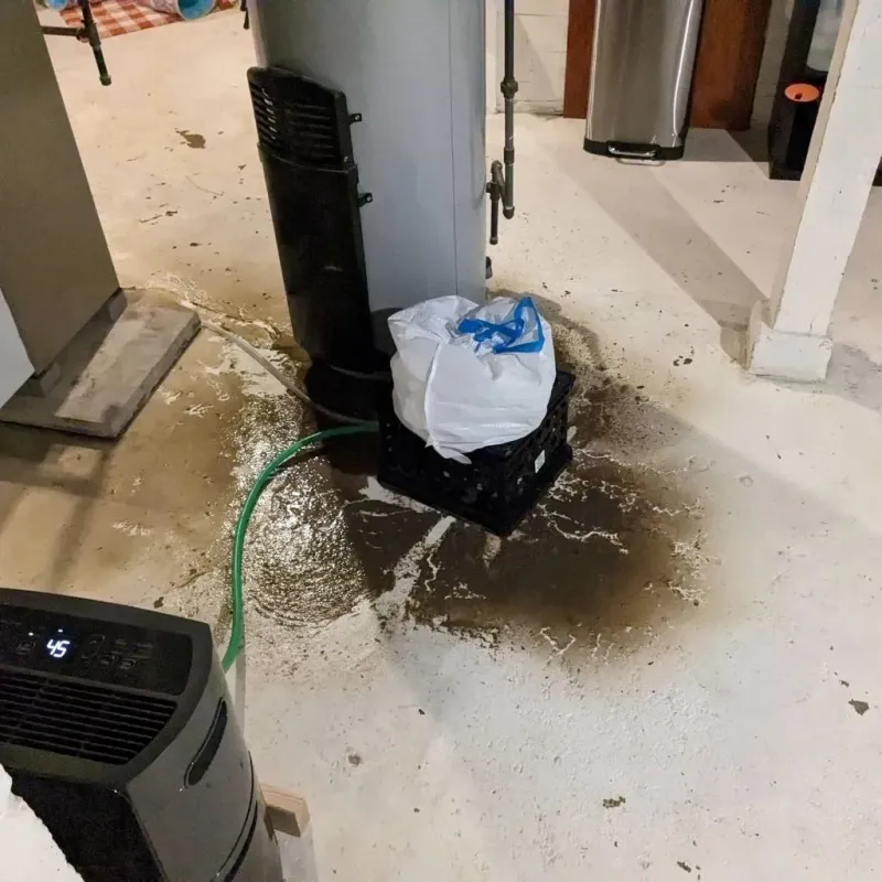 Sewage Backup Cleanup Service in Mount Orab, OH